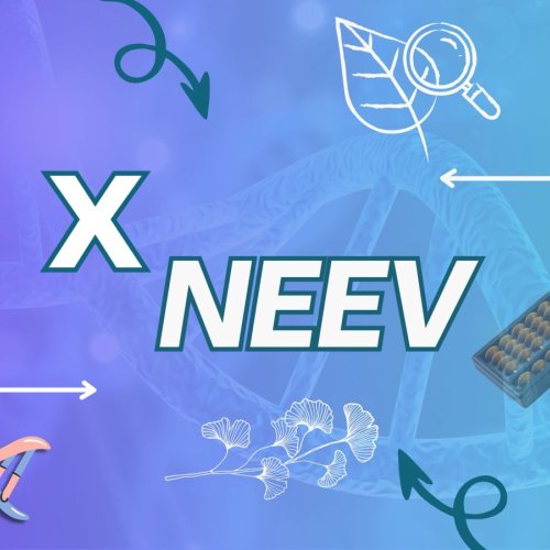 NEEV-X Pre Foundation Course Service