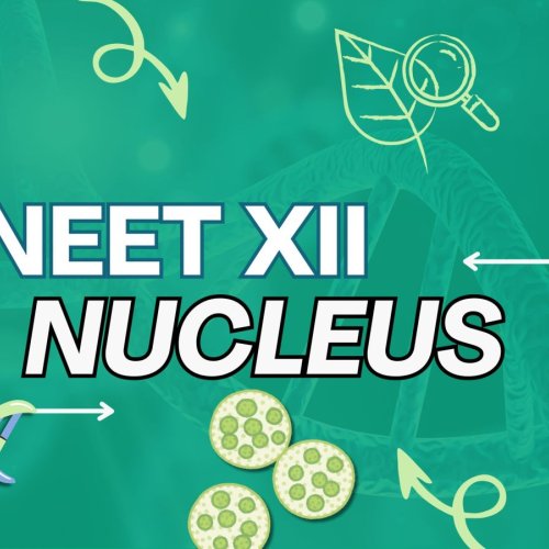 Nucleus for NEET UG Course Service