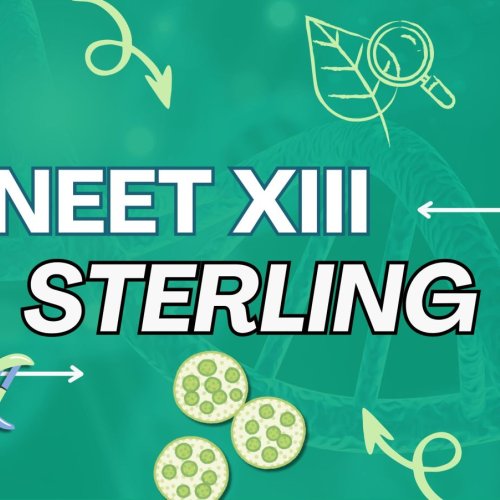 Sterling for NEET UG Course Service