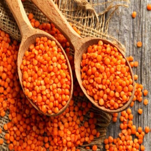 Red Lentils