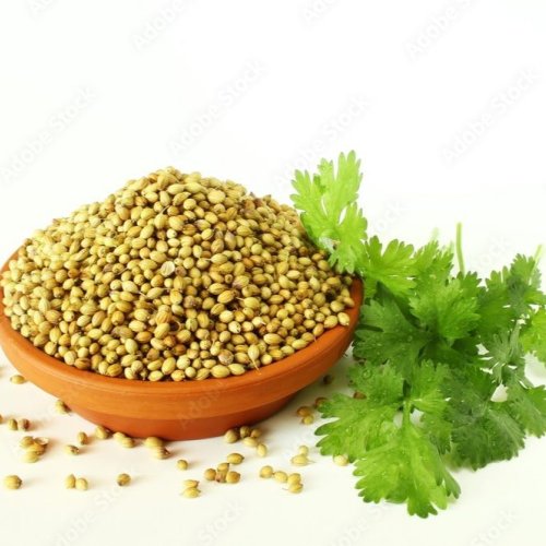 Coriander Seed