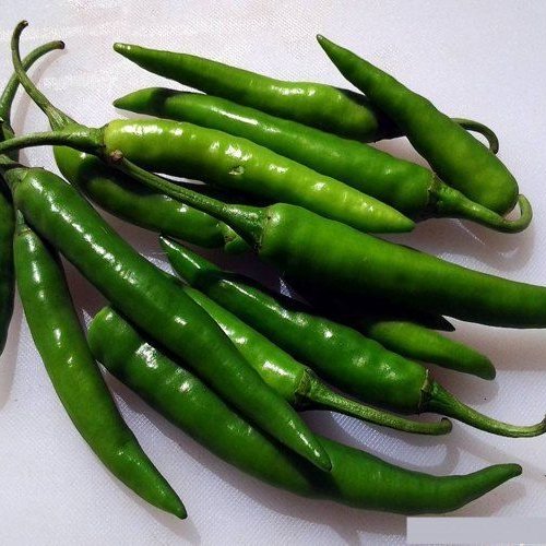 Natural Fresh Green Chilli