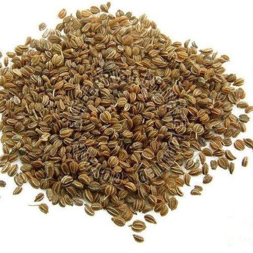 Celery Seeds
