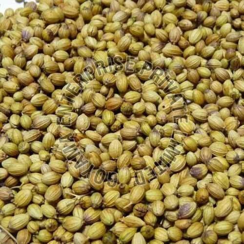 Eagle Coriander Seeds
