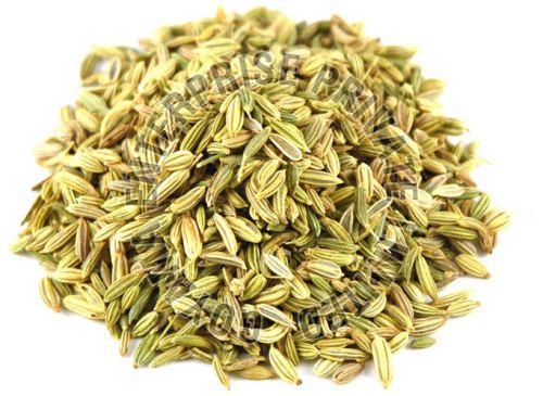 Regular Classic Fennel Seeds