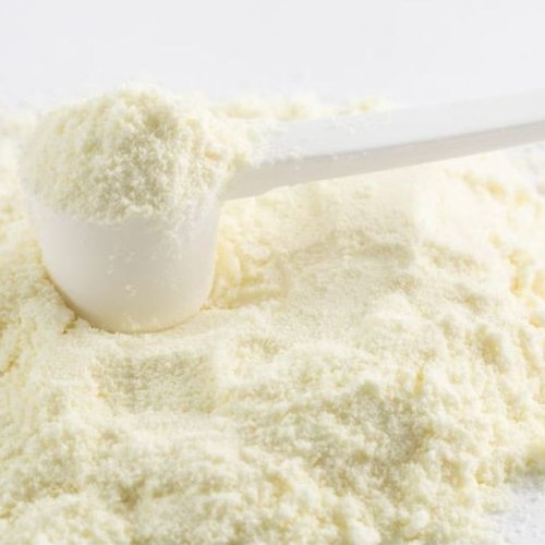 spray dried donkey milk powder