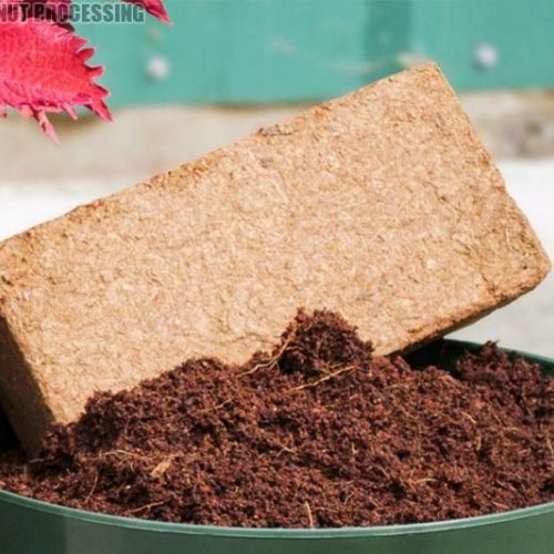 High EC Coco Peat Block