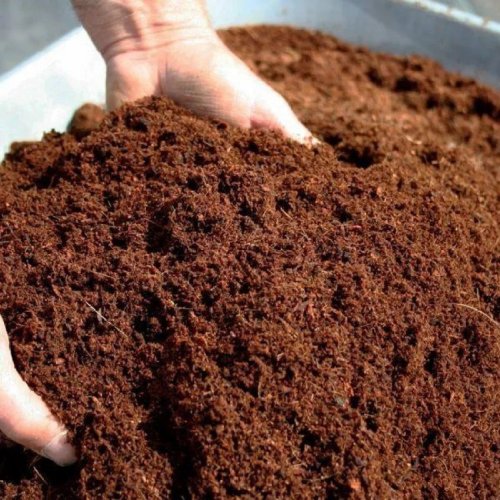 Low EC Cocopeat Powder