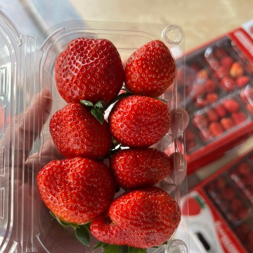 Strawberry Premium Quality