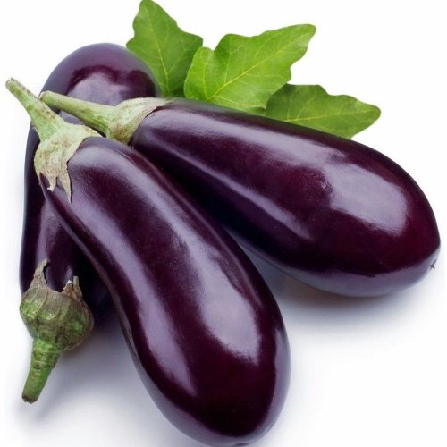 A Grade Fresh Brinjal