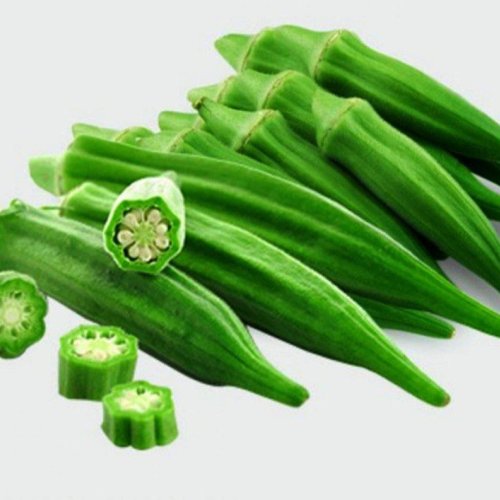 A Grade Green Fresh Lady Finger