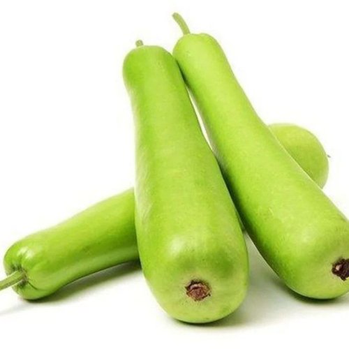 A Grade Green Organic Fresh Bottle Gourd