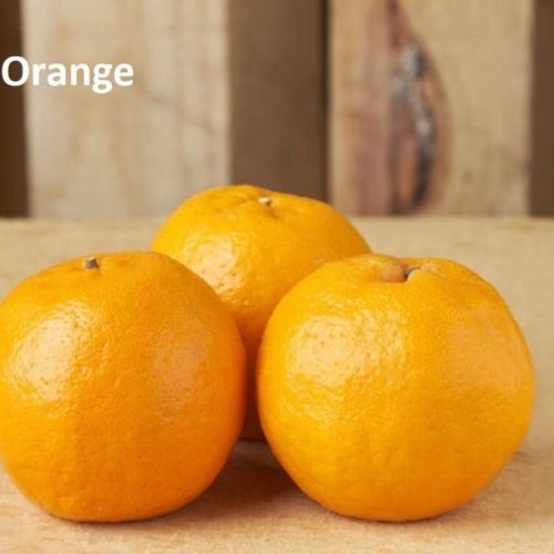 A Grade Organic Coorg Orange