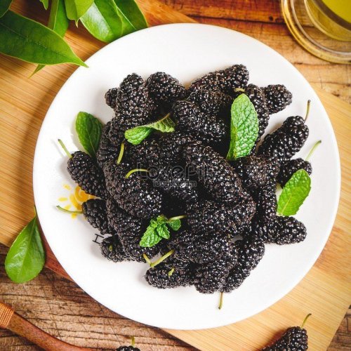 Fresh Indian Mulberry