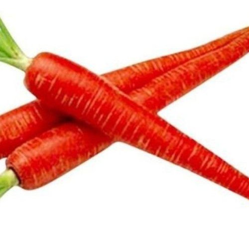Fresh Red Carrot