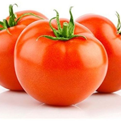 Fresh Red Tomato