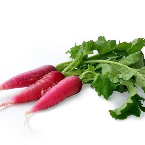 Organic Red Radish