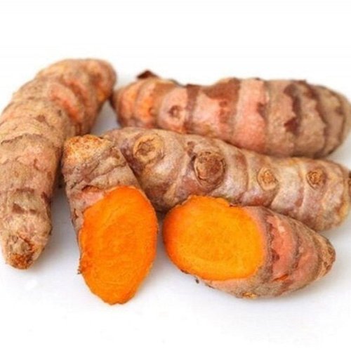 Raw Lakadong Turmeric Finger
