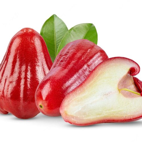 Red Rose Apple