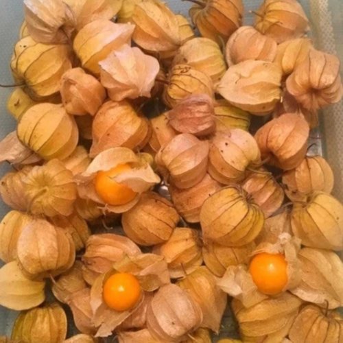 Fresh Golden Berry