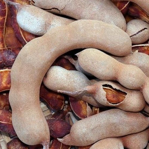 Ripen Red Tamarind