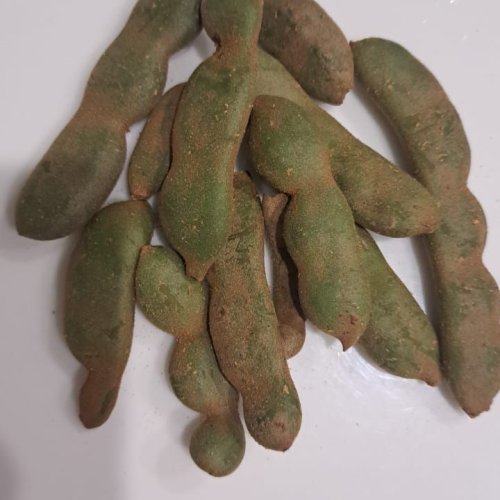 Unripe Red Tamarind