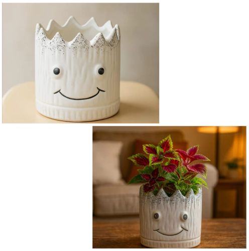 Smiley Face Ceramic Flower Planter