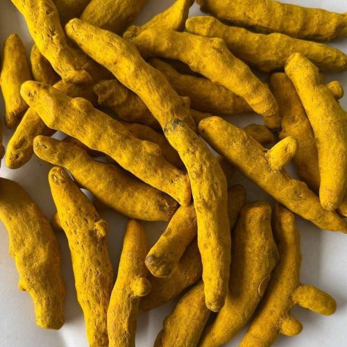 Nizamabad Turmeric Finger