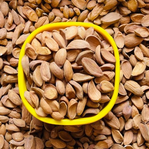 Curved Kashmiri Almond Kernels