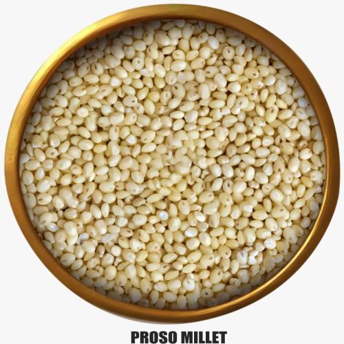 A Grade Proso Millet