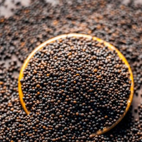 Black Whole Mustard Seed