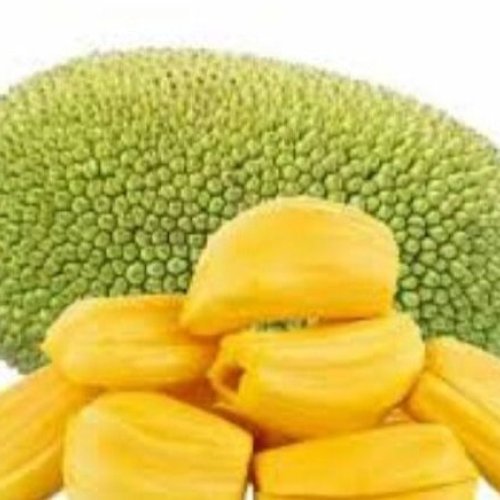 Fresh Jackfruit