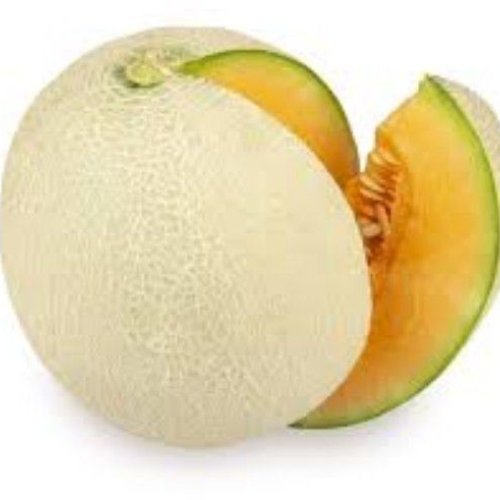 Fresh Muskmelon