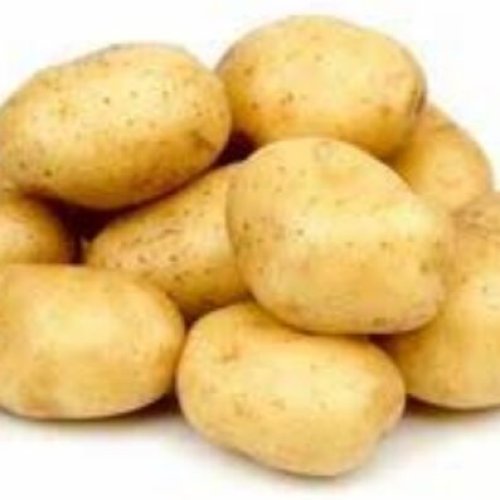 Fresh Potato