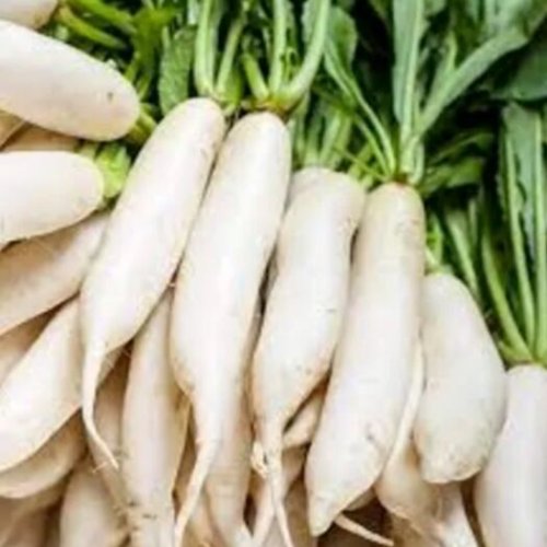 Fresh Radish