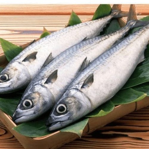Fresh Surmai Fish