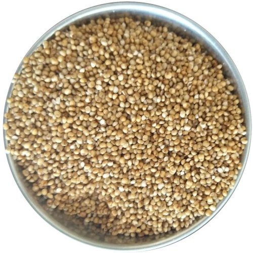 Kodo Millet Seeds