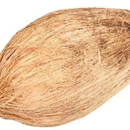 Brown Semi Husked Coconut