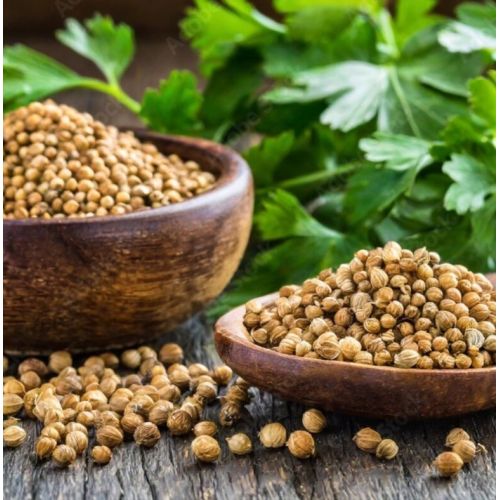 100gm Coriander Seeds