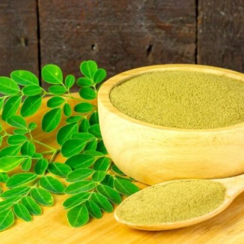 Moringa Oleifera Plant/leaves/powder