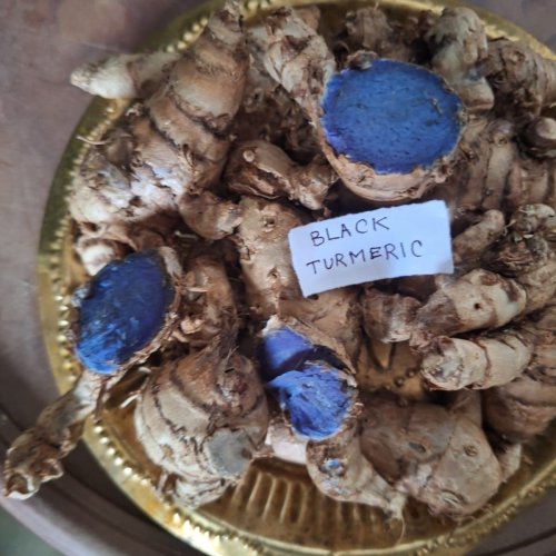 Black Turmeric Rhizome