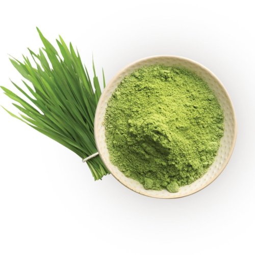 Wheatgrass Powder