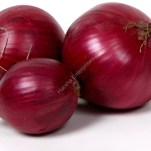 Fresh Red Onion