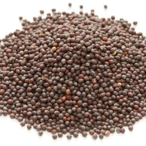 Brown Mustard Seeds