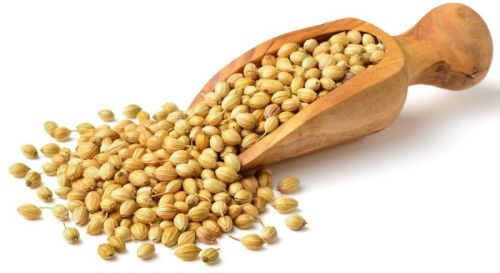 Whole Coriander Seeds