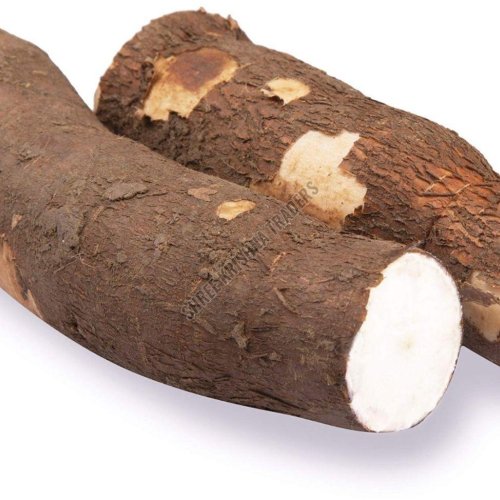 A Grade Fresh Cassava Root
