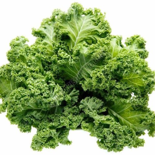 A Grade Fresh Green Kale