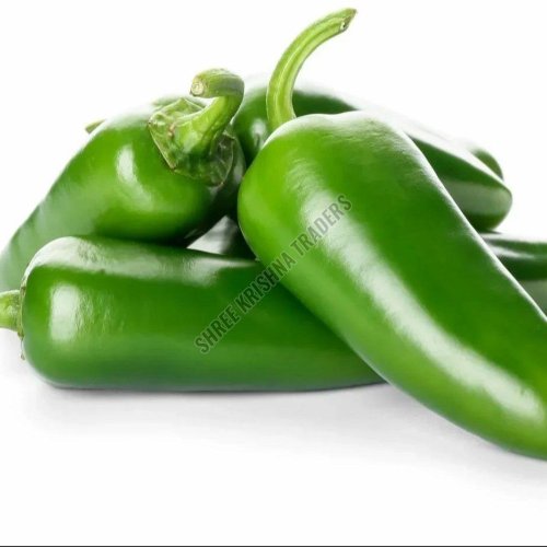 A Grade Fresh Jalapeno Pepper