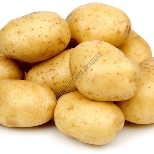 A Grade Fresh Potato