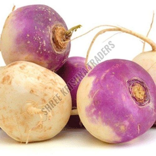 A Grade Fresh Turnip
